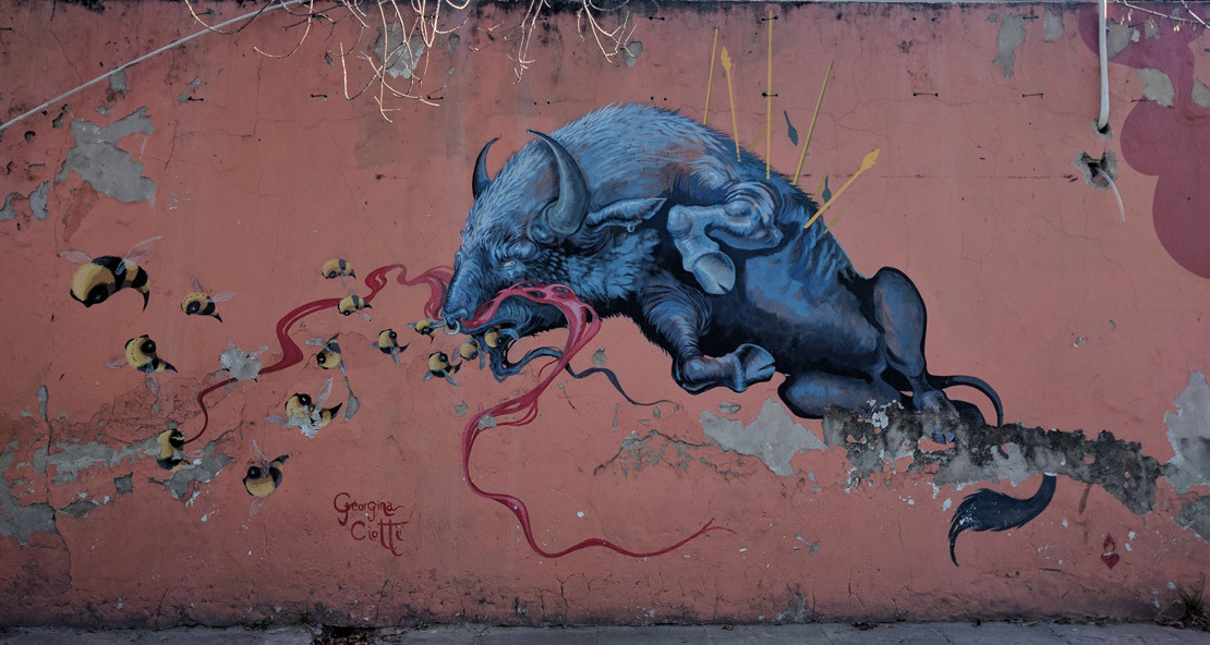 Georgina Ciotte's bull in Barracas